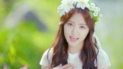 A Pink - Secret Garden