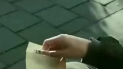 全智贤 - 雏菊