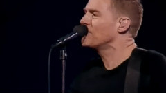 Bryan Adams - Back To You
