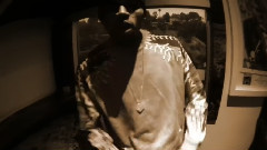 Chris Brown - Live Stream