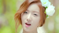 A Pink - Secret Garden