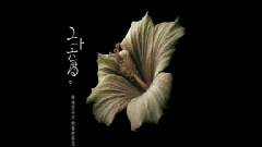 许飞 - 你如今好吗