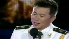 王宏伟 - 在那遥远的地方