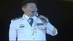 王宏伟 - 西部放歌