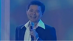 王宏伟 - 十五的月亮