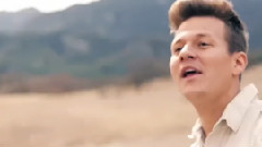 Peter Hollens,Tyler Ward,Lindsey Stirling - Fields Of Gold