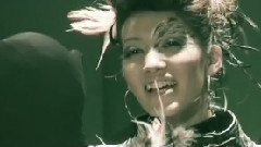 中村中 - 鸟の群れ