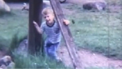 Red House Painters - Have You Forgotten