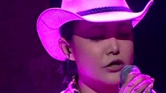 韦嘉 - 爱情的故事