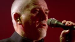 Peter Gabriel - Blood Of Eden