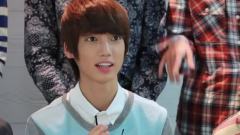 Boyfriend - Kpop Group - Tell Us What Animals They Want To Be