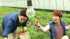 Super Junior - Super Junior's Experience Korea 首尔 强仁 & 晟敏
