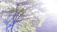 中岛美嘉 - Today