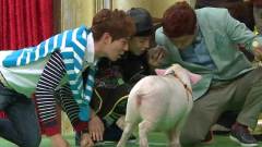 B1A4 - BARO和小猪BOBO