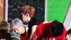 EXO,EXO-M,张艺兴 - Wolf