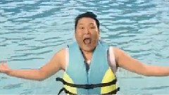 Psy - 加勒比海湾