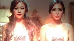 WINGS - Blossom