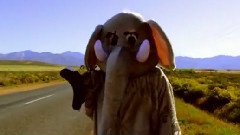 Coldplay - Paradise
