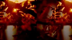 Bicycle Theme