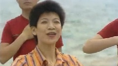 群星 - 感恩的心