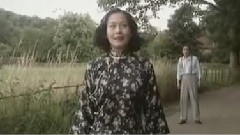 刘若英 - 四月天