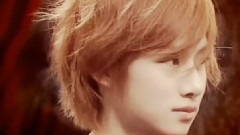 金希澈(Super Junior),Super Junior - 贺希归