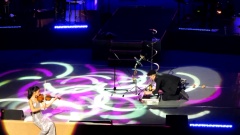 陈美 - Vanessa Mae