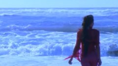 欧美群星 - Beautiful World