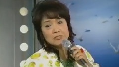 日本群星 - かもめが翔んだ日