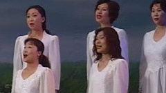 华语群星 - 回娘家