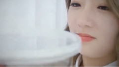 A Pink - Apink Mini Diary 