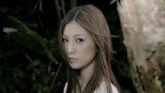 岛谷瞳 - Destiny-太阳の花-