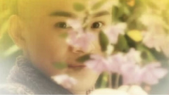 乔振宇 - 黄昏