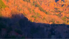 轻音乐 - Morning Light Vivaldi Four Seasons Op.8