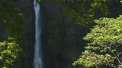 音乐短片,风景,轻音乐 - 大自然风光