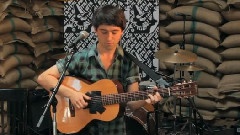 Villagers - Set The Tigers Free