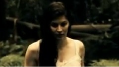 The Paper Kites - Bloom