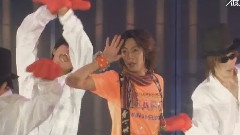 岚 - Summer Tour