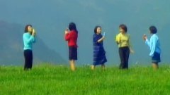 早安少女组 - 爱的种子