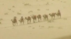 陈美 - 罗珊的面纱