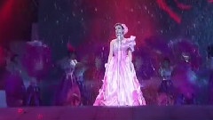 华语群星 - 玫瑰人生