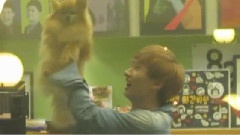 Super Junior - KTR
