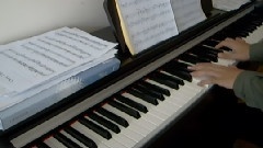 模仿翻唱 - For Catharina