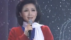王莉 - 红梅赞