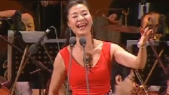 王丽达 - 沂蒙山我的娘亲亲