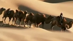 轻音乐 - Desert Of Sadness