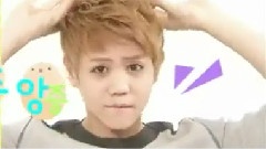 BEAST - 鸡蛋颂 SBS人气歌谣