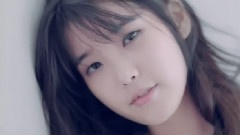 IU - The seam CF 20S