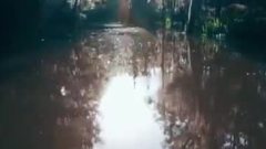 Casper - Im Ascheregen