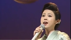 日本群星 - 夫妇みち